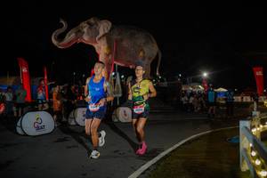 BIB: 
                            <button type="button" onclick="openModal(26551818)" class="btn btn-primary btn-sm float-right btn-popup" data-toggle="modal" data-target=".modal-high-quality">
                        <i class="fas fa-shopping-cart"></i> Add to Cart
                    </button>
                                            <button type="button" onclick="isThisMe(26551818, true)" class="btn btn-success btn-sm float-right btn-popup btn-isme hidden" data-toggle="tooltip" data-placement="bottom" title="นี่คือรูปของคุณใช่ไหม คลิกที่นี่เพื่อเอาเข้าอัลบั้ม">
                        <i class="fas fa-plus"></i> Add to album
                    </button>
                    <button type="button" onclick="isThisMe(26551818, false)" class="btn btn-warning btn-sm float-right btn-popup btn-isnotme hidden">
                        <i class="fas fa-ban"></i> Remove from album
                    </button>